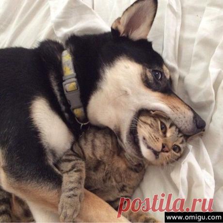 Best Friend!!! Лучшие друзья!!!
