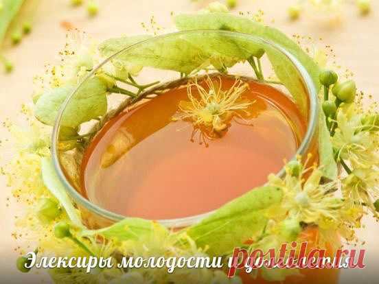 Эликсиры молодости и долголетия | Вкусные рецепты с фото