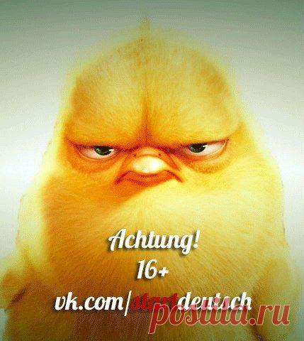 Немецкий разговорный / Изучение немецкого языка