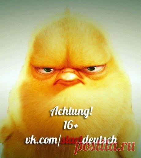 Немецкий разговорный / Изучение немецкого языка