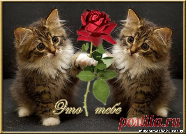 Предлагаю работу в международной компании! 
Ищу активных людей, которые бы хотели зарабатывать в интернете, без вложений и за год работы выйти на высокий уровень официального дохода.
*Вся работа ведется только в сети интернет, в удобное для вас время. 
*Бесплатное обучение. Учитываются налоги и стаж. 
*От меня - доведение до результата и поддержка на всех этапах работы. 
*От Вас - желание работать и обучаться.