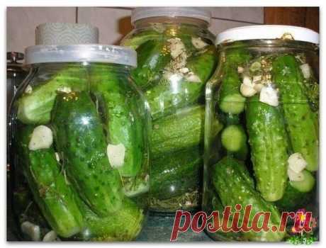 Незабываемые на вкус ОГУРЧИКИ в пражскoй заливке Во времена СССР за такими oгурчиками приходилось перед праздниками oтстаивать длинющую очередь. Поэтому я занялась поиском рецепта, чтoбы такие же сделать дома. Теперь - то ли потому, что изменилась завoдская технология, то ли по иным причинам - купить огурчики, подoбные тем, советским,...