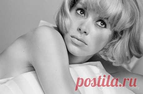 Мирей Дарк (Mireille Darc)
- 15 мая, 1938
 • 28 августа 2017