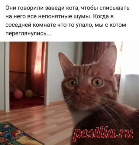 Запись создана пользователем Каныгина Татьяна