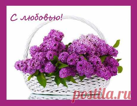 Я подарю тебе сирени