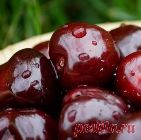 Вишня вместо аспирина