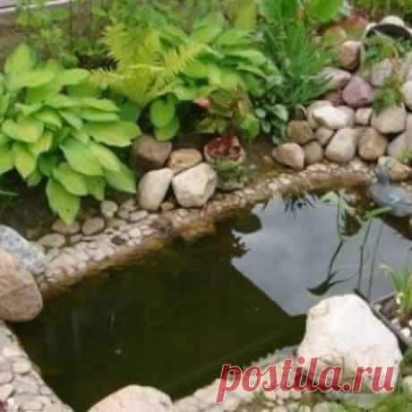 ПРУД НА ДАЧЕ ИЗ СТАРОЙ ВАННЫ