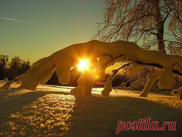 Зимние сумерки...