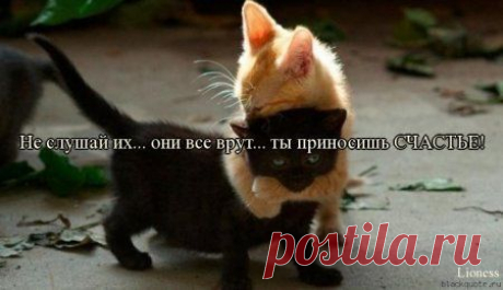 Наши женские штучки ✔
