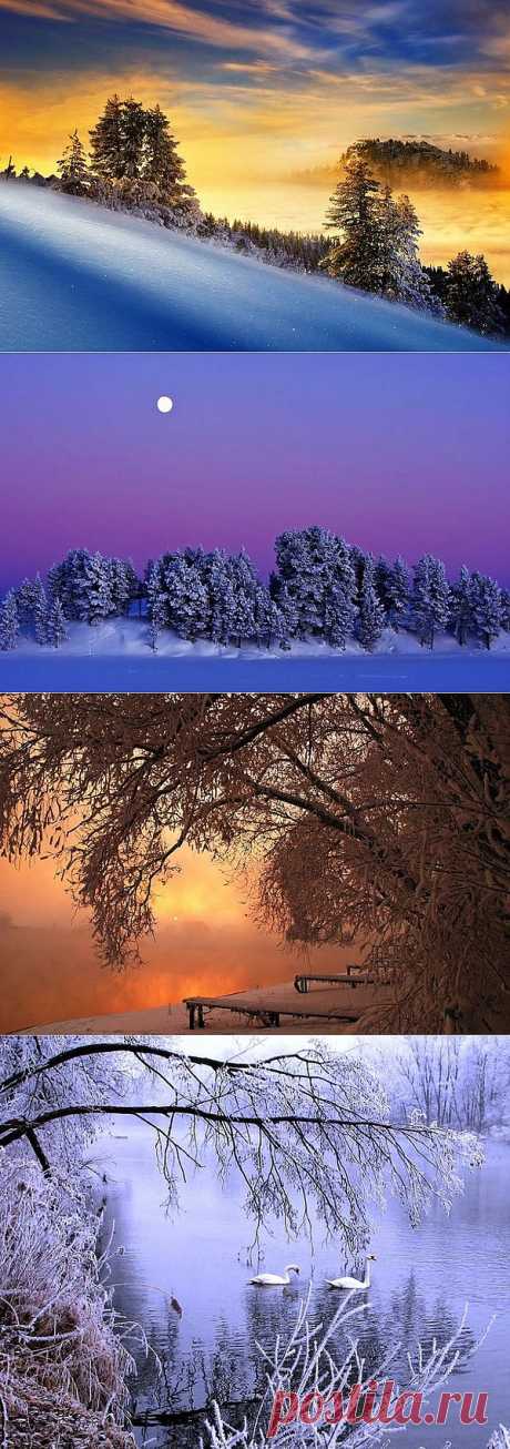 фотографии