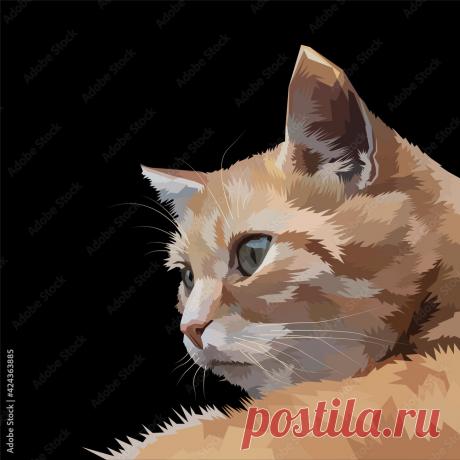 Готовые фотографии, изображения, не требующие уплаты роялти, векторные изображения и видеоролики (Поп-арт кошки)