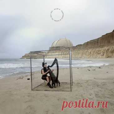 Allie X - Happiness Is Going To Get You (2025) 320kbps / FLAC