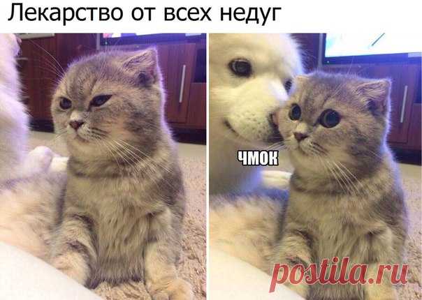 Дневник женщин