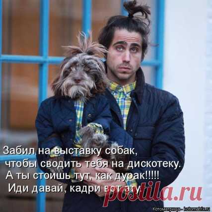 Докладываю: у противника восемь танков, шесть ракетных устаноаок, а у повара - большая сахарная кость, но он, жадюга, не дал!     Котоматрица: Раздел "Собачья жизнь"