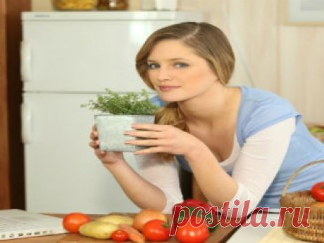 Как продлить аромат парфюма подольше? Секрет прост! — Копилочка полезных советов
