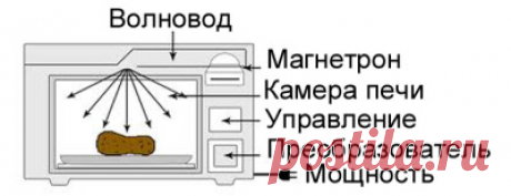 Принцип работы микроволновой печи: основы и опасности