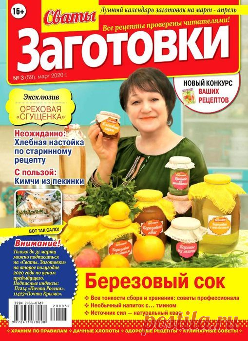 Российский Сервис Онлайн-Дневников