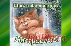 Одноклассники