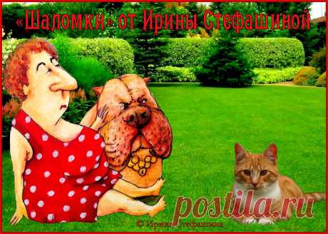«Шаломки» от Ирины Стефашиной. Анекдоты тети Песи и пса Бантика | Поэт Ирина Стефашина | Яндекс Дзен
