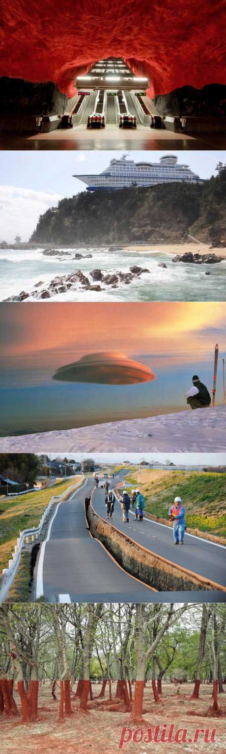 сообщение Goodwine : 20 фото, которые выглядят как подделка, но они абсолютно реальны... (23:31 09-09-2015) [3006307/371429606] - kiyashko_1964@mail.ru - Почта Mail.Ru