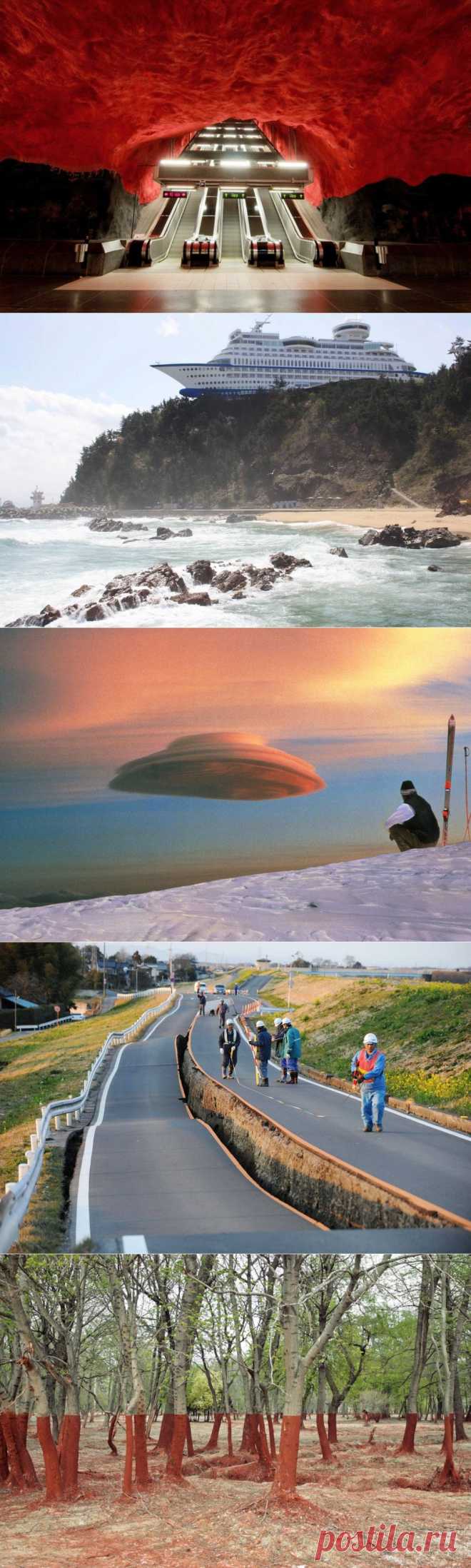 сообщение Goodwine : 20 фото, которые выглядят как подделка, но они абсолютно реальны... (23:31 09-09-2015) [3006307/371429606] - kiyashko_1964@mail.ru - Почта Mail.Ru