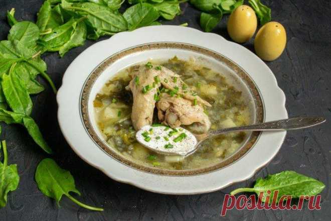 12 вкуснейших щавелевых супов, которые можно готовить все лето