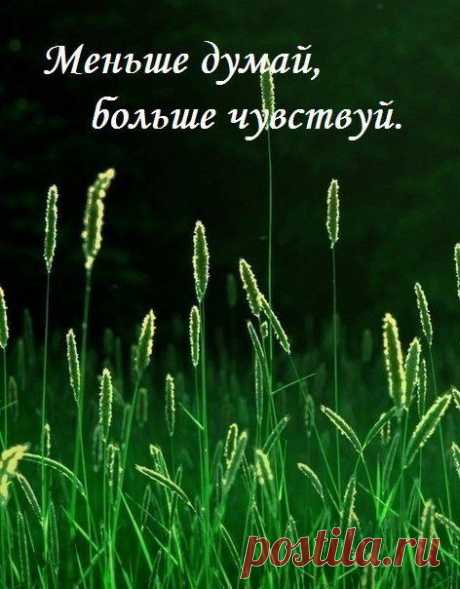 НОВАЯ ИНФОРМАЦИЯ . Не старайтесь сразу оценить эту информацию на основе имеющихся у вас опыта и знаний. Попробуйте предпринять хоть какие-то шаги по реализации этого предложения и уже по развитию событий принимайте решение .