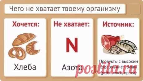 ЧЕГО НЕ ХВАТАЕТ ОРГАНИЗМУ - Полезное - Каталог рецептов - КашеВарка