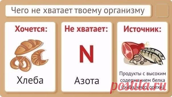 ЧЕГО НЕ ХВАТАЕТ ОРГАНИЗМУ - Полезное - Каталог рецептов - КашеВарка