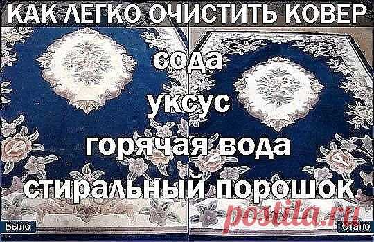 Как легко очистить ковер 
Чтобы сократить траты на средства для мытья ковров, которые нам предлагают купить в магазинах, давайте сделаем средство для мытья ковров сами. Это средство будет в разы дешевле, без бесконечного списка химии с составе и самое главное - оно будет чистить. 
Итак, нам понадобится пустая тара среднего размера с распылителем, в которую мы добавим: 
- 1 столовую ложку соды;
