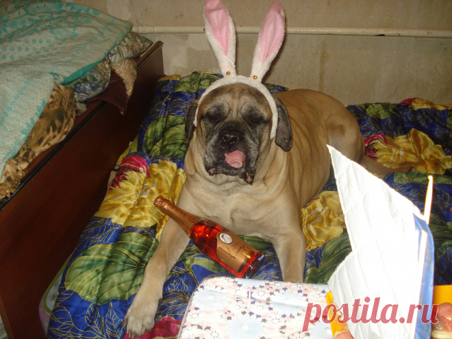 Не плохо девять лет отметила....Ик...