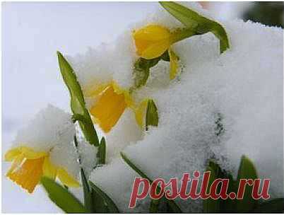 Приметы марта | Советы Народной Мудрости