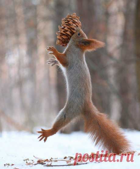 Живая природа