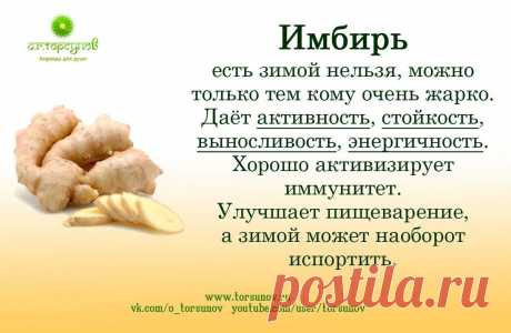 Имбирь
