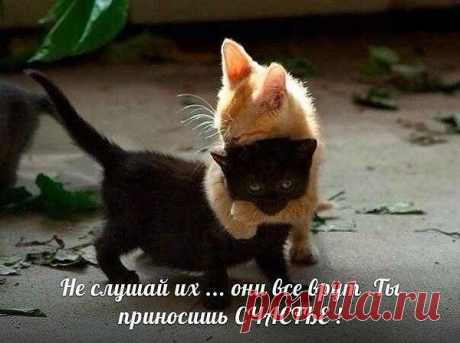 Мой Мир@Mail.Ru
