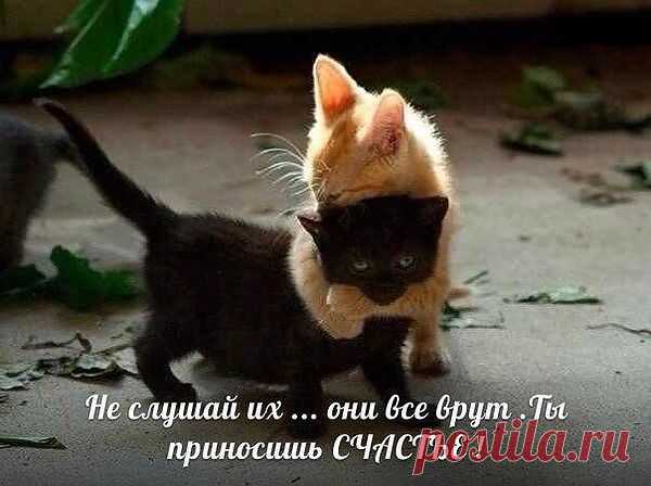 Мой Мир@Mail.Ru
