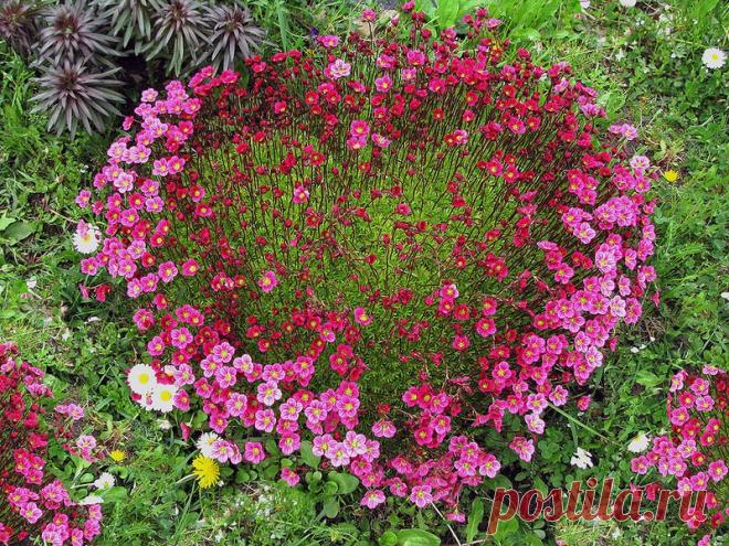 Мой Мир@Mail.Ru