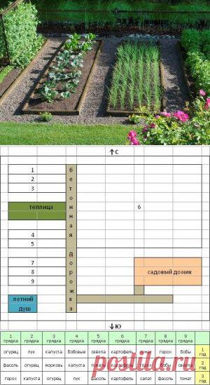 Севооборот овощных культур на дачном участке. Что после чего можно сажать?