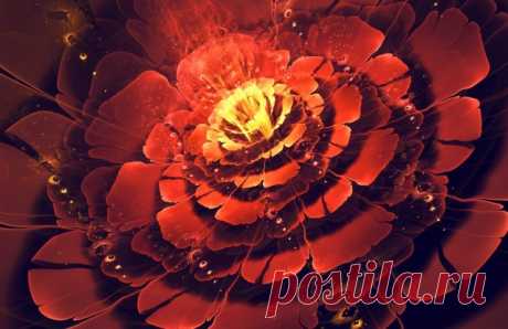 Fractal art Kordedda Sylvia (Silvia Cordedda)