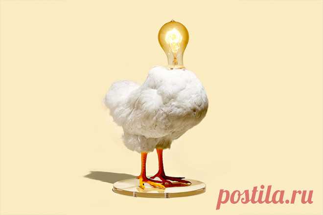 Кривая забывания: как запомнить важную информацию или, наоборот, помешать кому-то это сделать / Surfingbird - мы делаем интернет лучше