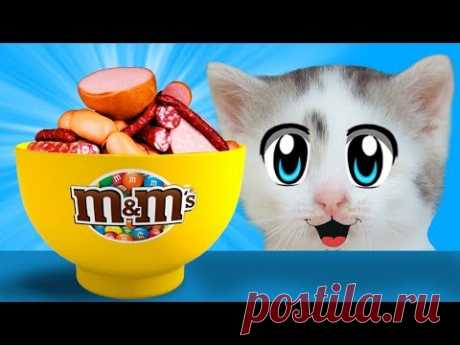 ПРИКОЛЫ С КОТАМИ! СМЕШНОЙ КОТ МАЛЫШ И КОШЕЧКА МУРКА едят КОЛБАСНЫЙ m&ms ! НОВЫЕ ПРАНКИ НАД КОТАМИ