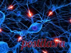 Диабетическая нейропатия. Причины, симптомы, диагностика и лечение нейропатии :: Polismed.com
