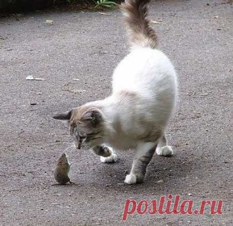 ПОЖАЛУЙСТА ДАЙ МНЕ В ТУАЛЕТ СХОДИТЬ?!