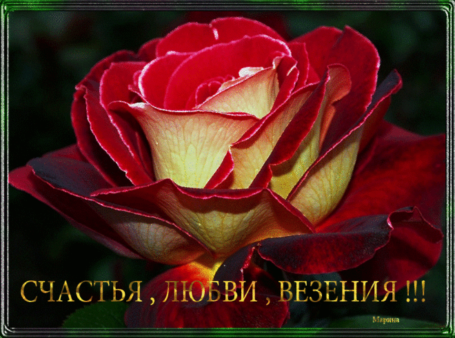 89d5b2728850a0d2d48a92e59e281f09.gif (807×600)