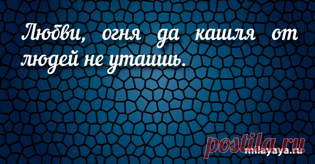 Короткая поговорка для женщин в картинках (картинка 35) . Милая Я