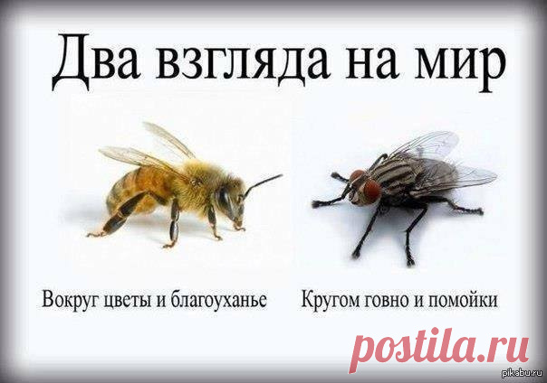 Станислав Чадов | ВКонтакте