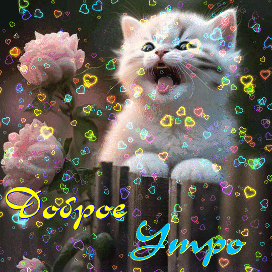 Доброе  утро