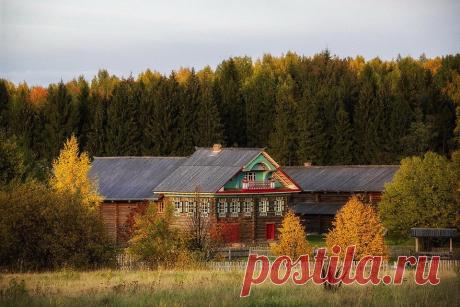 АЛЕКСАНДР ВАСИЛЬЕВ&amp;ДРУЗЬЯ
Шаврина Елизавета