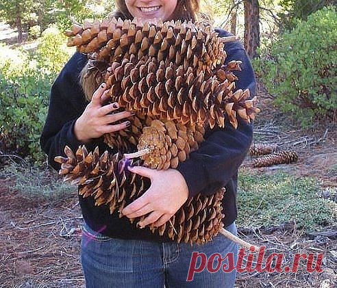 Всё про ЖЕНЩИН и  МУЖЧИН.....