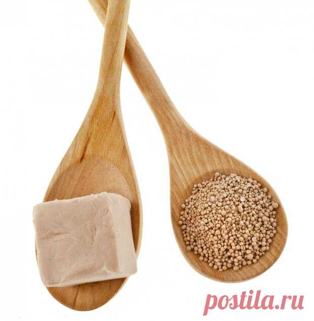10 натуральных удобрений для домашних цветов | Огород без хлопот